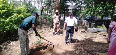 Tree planting program implemented in the office premises